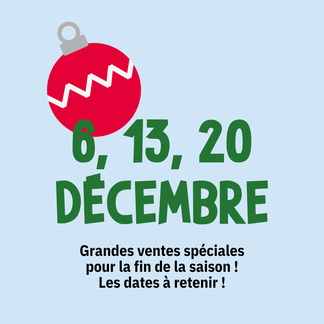 SECONDE MAIN SOUS LE SAPIN 2 site